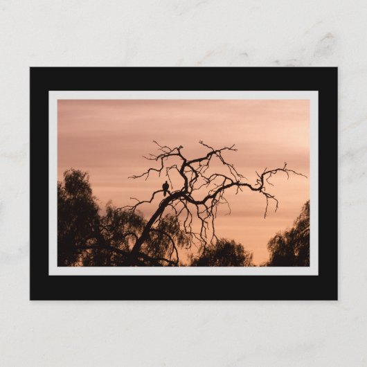 Gothic Bird Dramatic Sunset Tree Briefkaart (Voorkant)