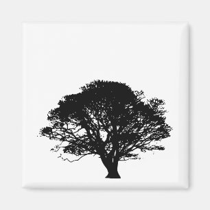 Gothic Black Oak Tree Silhouette Fine Art Drawing Magneet