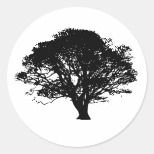 Gothic Black Oak Tree Silhouette Fine Art Drawing Ronde Sticker