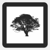 Gothic Black Oak Tree Silhouette Fine Art Drawing Vierkante Sticker (Voorkant)