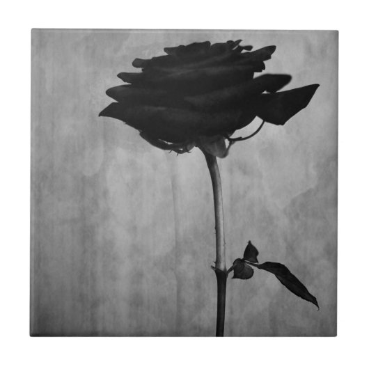 Gothic Black Roos Tegeltje (Voorkant)