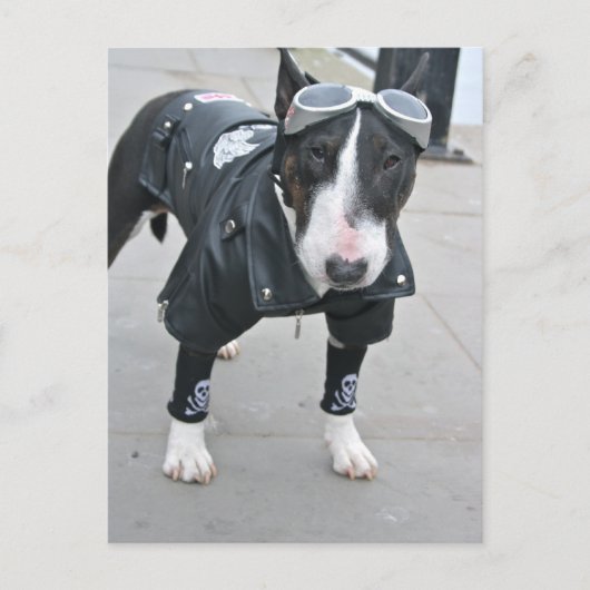 Gothic Bulldog Post Card Briefkaart (Voorkant)