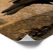 Gothic Caw Poster (Hoek)