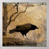 Gothic Caw Poster (Voorkant)