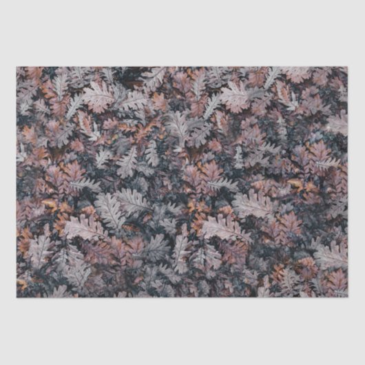 Gothic Creepy Cozy Herfst Nachtnajaar Leaves Tissuepapier (Voorkant)