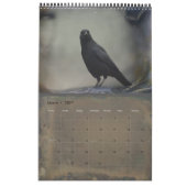 Gothic Crows Kalender (Mar 2027)