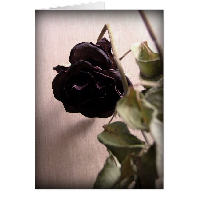 Gothic Dode Roos (Voorkant)