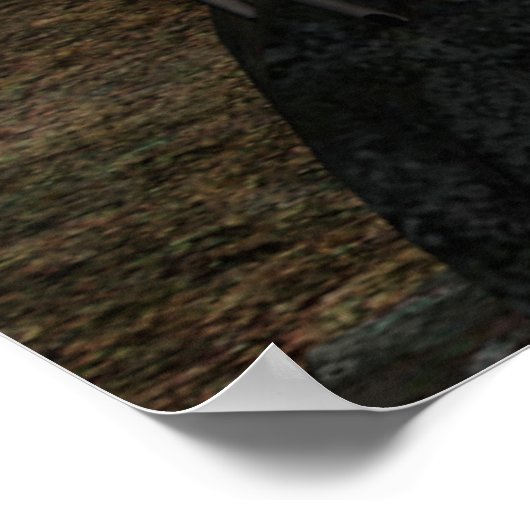 Gothic Fae Series TRINITY Fantasy Art Poster (Hoek)