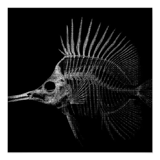 Gothic Fish Skeleton X-Ray Poster (Voorkant)