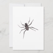 Gothic Gothic Spider Web Dark Invitation Wedding Kaart (Achterkant)