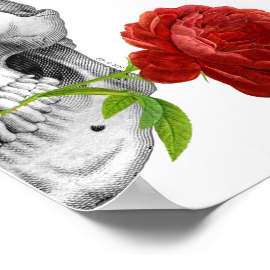 Gothic Half Skull Roos Horror Fantasy Skeleton Poster (Hoek)