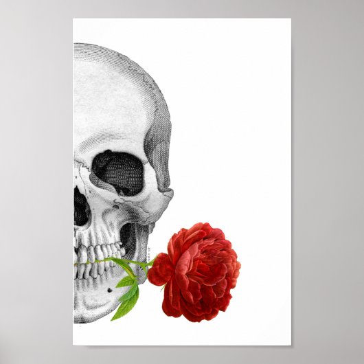 Gothic Half Skull Roos Horror Fantasy Skeleton Poster (Voorkant)