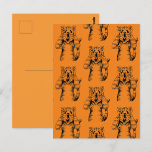 GOTHIC HORROR CAT DRAMA, IEMAND VERPLAATSTE KATTEN BRIEFKAART