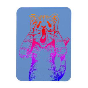 GOTHIC HORROR CAT DRAMA, IEMAND VERPLAATSTE KATTEN MAGNEET