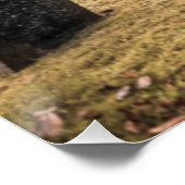 Gothic meisje in de begraafplaats voor Halloween Perfect Poster (Hoek)