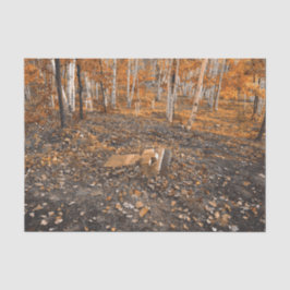 Gothic  Oranje Leaves Autumn Cemetery Tissuepapier