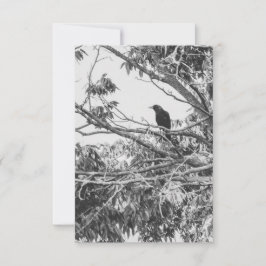 Gothic Raven Postcard Kaart