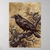 Gothic Raven Vintage Script Dark Academia Poster (Voorkant)
