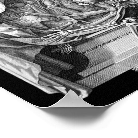  Gothic Skelet Gravure Memento Mori Hallo Poster (Hoek)