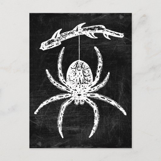 Gothic Spider die van het Briefkaart van de Tak ha (Voorkant)