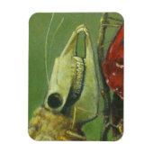 Gothic Surreal Moth Flexible Magnet Magneet (Verticaal)