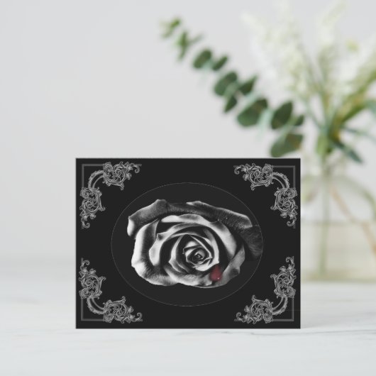 Gothic Vampire Black roos briefkaarten (Staand voorkant)
