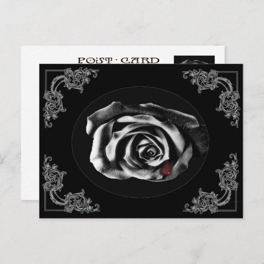 Gothic Vampire Black roos briefkaarten (Voorkant / Achterkant)