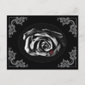 Gothic Vampire Black roos briefkaarten (Voorkant)