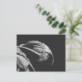 Gothic Wilting Flower Photo Reprint Briefkaart (Staand voorkant)