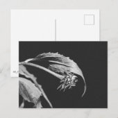 Gothic Wilting Flower Photo Reprint Briefkaart (Voorkant / Achterkant)