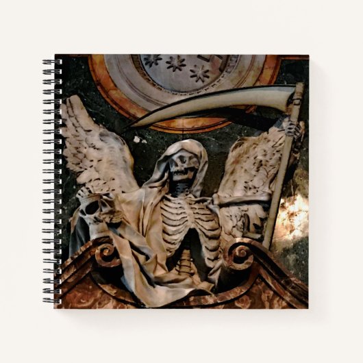 Gothic Winged Skeleton Journal Spiral Notitieboek (Voorkant)