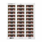 Gothische bloemrijke Victoriaanse bruidsdouche Etiket (Full Sheet)