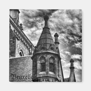 Gothische kerk in vintage stijl magneet