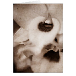 Gothische orchidee - kaart