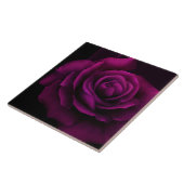 Gothische Paars-rode rozenbloem Tegeltje (Zijkant)