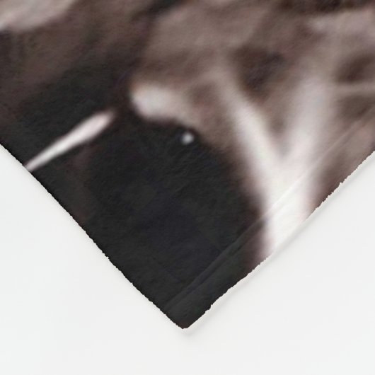 Gothische schedels Extreme Airboringkunst Fleece Deken (Hoek)