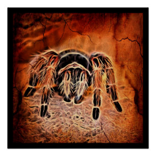 Gotische Halloween griezelige kruipen spin Tarantu Poster
