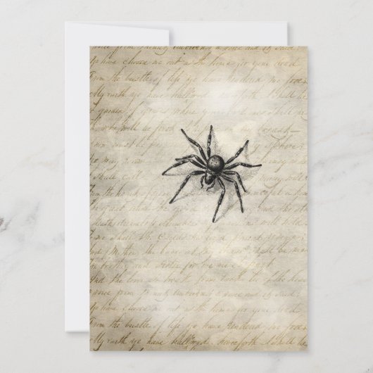 Gotische Halloween heks schedel spin wolf Kaart (Achterkant)