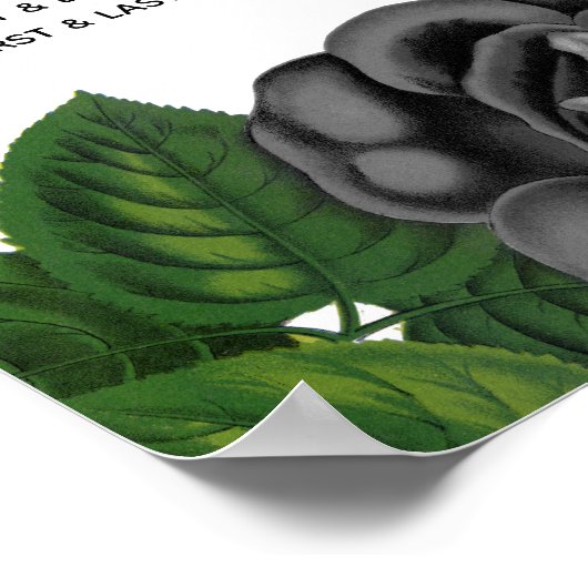 Gotische Halloween Rozen Witte Bruiloft Zitkaarten Poster (Hoek)