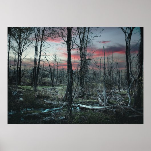 Gotische Kunst Donkere Moerasland Bos Poster (Voorkant)