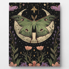 Gotische nachtelijke hemel illustratie fotoplaat