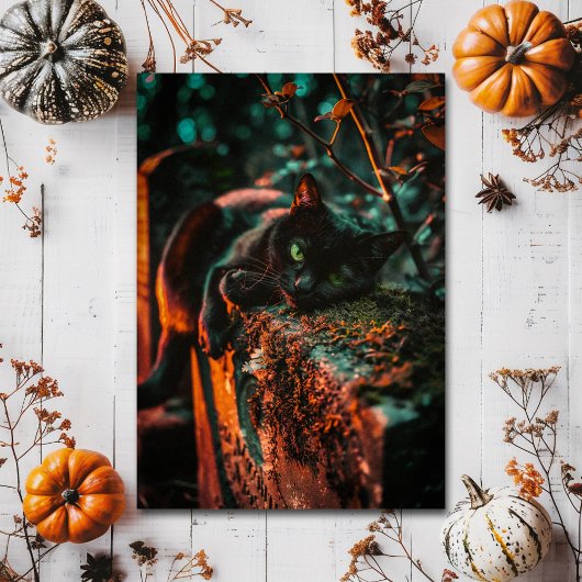 Gotische occulte zwarte kat op begraafplaats briefkaart