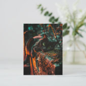 Gotische occulte zwarte kat op begraafplaats briefkaart (Staand voorkant)