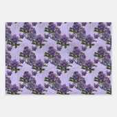 Gotische Paarse & Grijze Stenen Schedel Inpakpapier Vel (Voorkant)