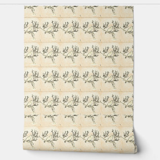 Gotische Poe Door Dag Behang