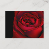 Gotische Romance Bold Red Rose Informatiekaartje (Achterkant)