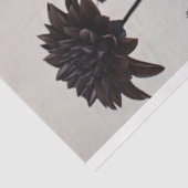 Gotische Skelet Raven Veren Bloemen Decoupage Tissuepapier (Detail)