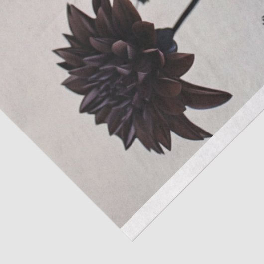 Gotische Skelet Raven Veren Bloemen Decoupage Tissuepapier (Detail)