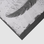 Gotische veer in een studie van zwart en wit tissuepapier (Detail)