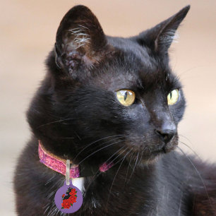 Gotische Zwarte Kat Rode Rozen Paars Huisdierpenning